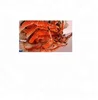 Crab, Fresh Frozen and Live Mud Crabs Red King Crabs Soft Shell Crabs , Blue Crab
