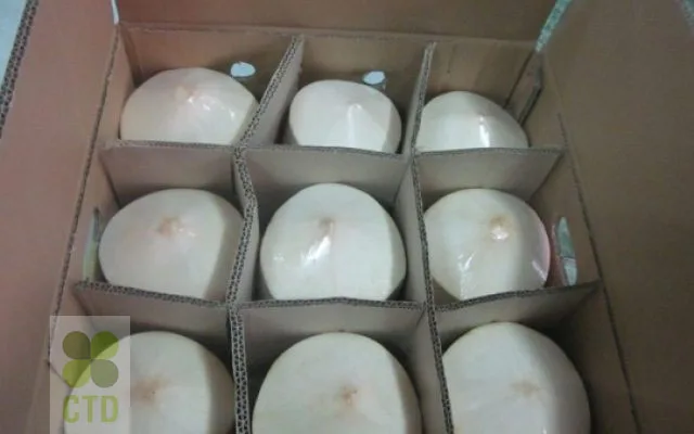 Fresh Coconut_CTD Int (4).jpg