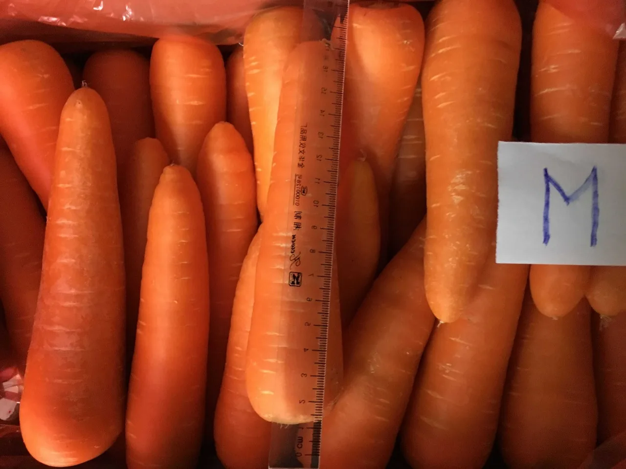 Fresh Carrots Cheap Price Buy Fresh Carrots In Vietnam,Fresh Carrots