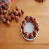 Raw Hazelnut Roasted Hazelnut in Bulk/Premium Quality Grade A Natural Hazelnut / Hazelnut Paste