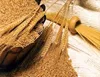 Top Grade A Quality Wheat / Durum Wheat / Milling Wheat