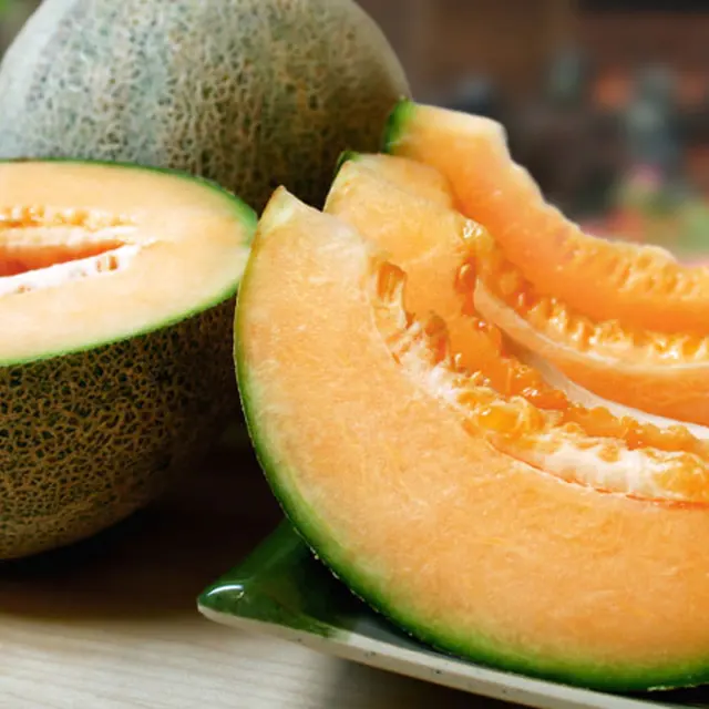 south africa cantaloupe melon trade
