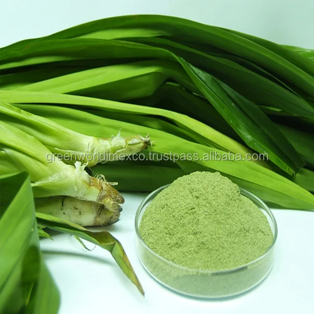 Pure & Organic Pandan Leaf Extract Powder From Vietnam With Premium