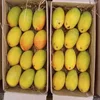 Fresh Alphonso Mangoes Exporters in India