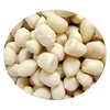 New crop Raw 40/50 50/60 factory Blanched peanut