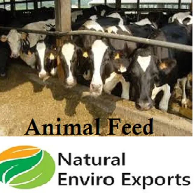 100% Export Grade Copra Cake / Animal Feed Made In India - Buy Copra Meal -  Special Meal For Animals Export Quality,Organic Animal Feed,Pure Copra Cake  Product on 