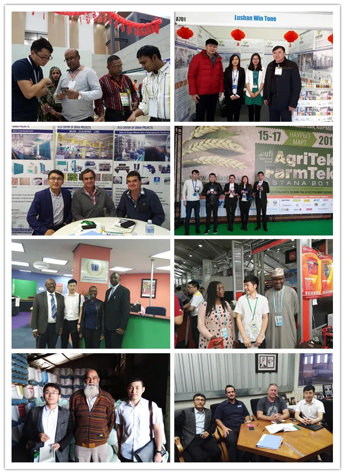 China supplier red split lentils processing machine