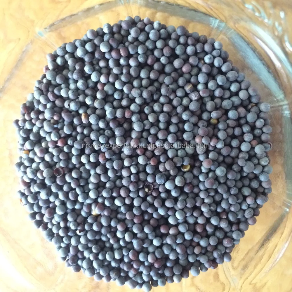 BLACK MUSTARD 15.JPG