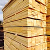 Abachi, Hemlock, Cedar, Spruce,pine Timber Type and Solid Wood Boards