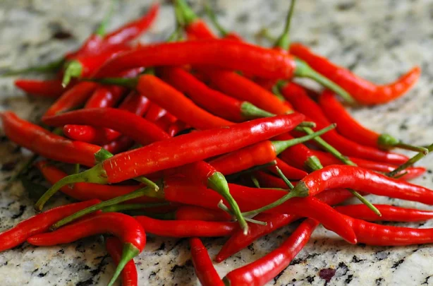 chili pepper- high quality frozen hot red chili pepper/fresh red