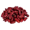 FASTER WAY TO BUY KIDNEY BEANS AFFORDABLE ALL CATEGORIES AND COLORS