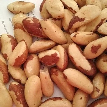 brazil nuts in shell for sale