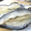 DRIED FISH SKIN