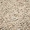 HIGH QUALITY WHITE PEPPER FROM THAILAND