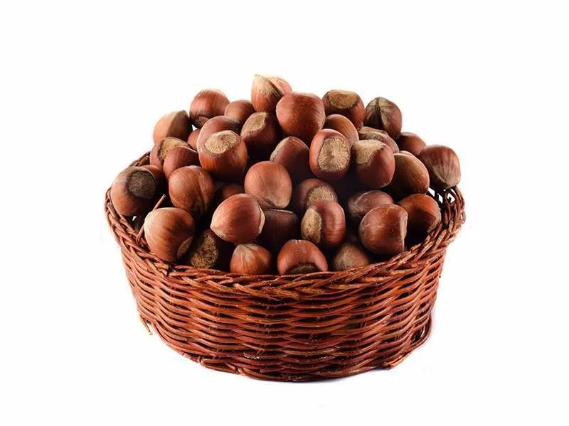 Raw Hazelnut In Shell Buy Turkish Hazelnut With Shell,Price Raw
