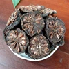 Best Selective Freeze Dried Noni Fruit Cheap Price For Making Wine And Medicine