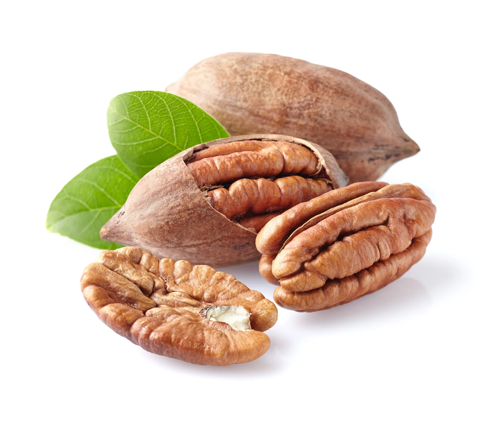 top quality healthy food organic nutrition pecan nuts in shell