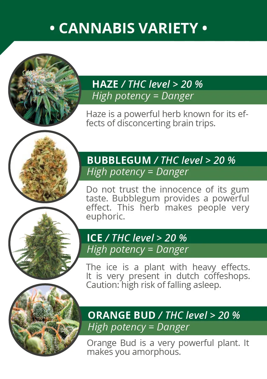 Top Selling Cannabis Verdict Saliva Drug Test Kit for Professional Use, View Saliva Drug Test Kit, Medisur Product Details from ALCO PREVENTION CANADA