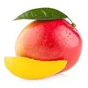 Mango Brand, Germany Mango, Mango Fruit Export