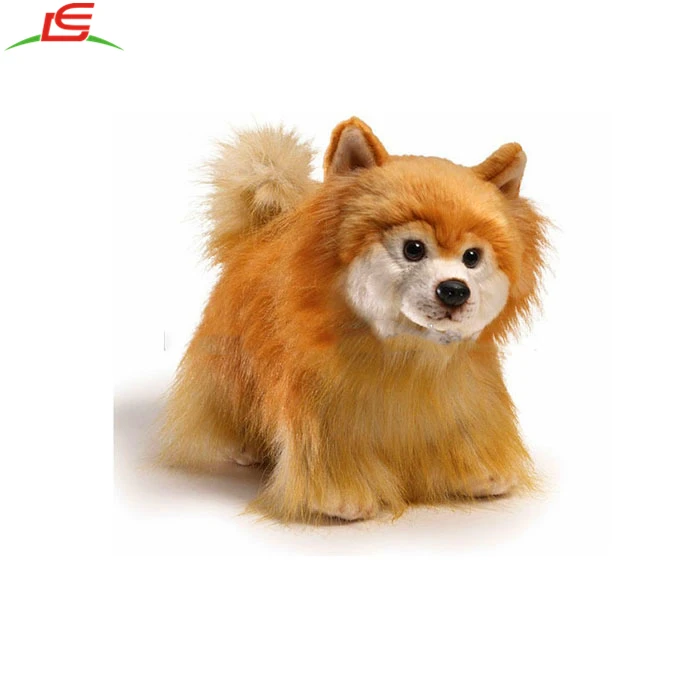 plush pomeranian