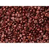 Hot selling Cocoa Beans