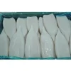 Squid Tube Frozen Illex Squid, Seafrozen
