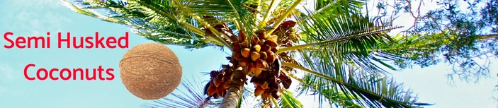 coconuts.jpg