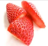 Fresh strawberry fruit Crop 2019 , best quality and price ready to export wholesale price to worldwide