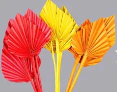 Palm Spear - Color.jpg