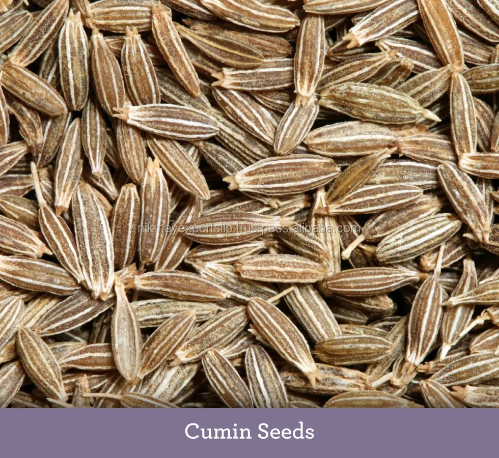 Cumin Seeds Sortex Quality Origin India From Nikmay Exports Llp Buy