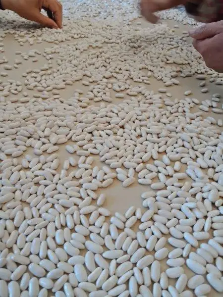 3562346326.jpg