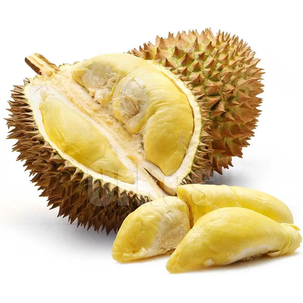 Fresh Durian From Thailand Buy فاكهة دوريان طازجة Product On Alibaba Com