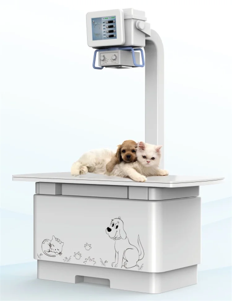 Brvx02 High Frequency Mobile Animal X Rays Digital X Ray Veterinary