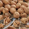 /product-detail/premium-top-standard-quality-walnut-in-shell-50039203910.html