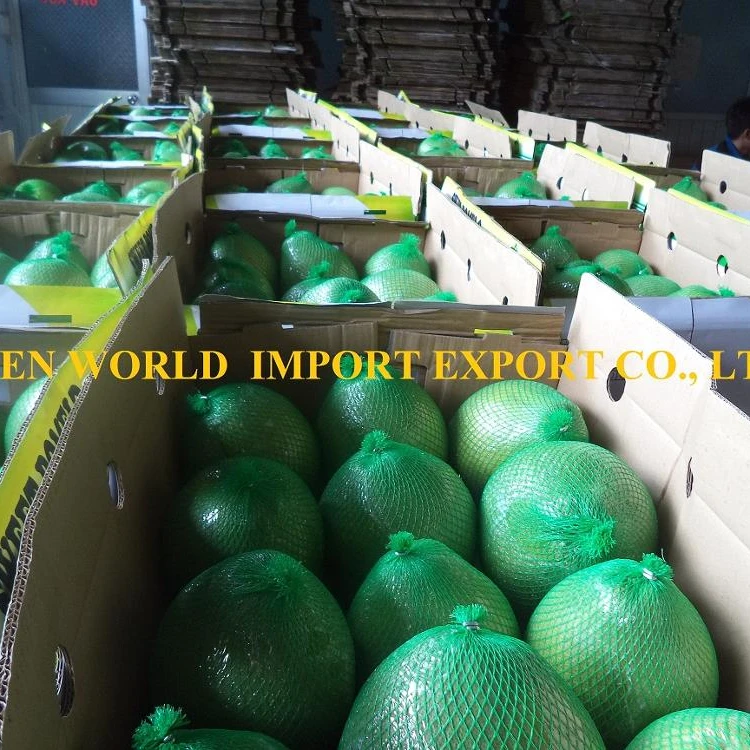 High Quality Fresh Pomelo From Vietnam Best Price For Now View Fresh Pomelo Greenworld Product Details From Green World Import Export Co Ltd On Alibaba Com