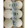 Japan Supplier Fruit Fresh Types of Organic Sweet Melons with Cheap Price