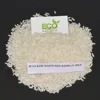 IR 64 Rice