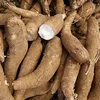 Tapioca Chip Product of Thailand