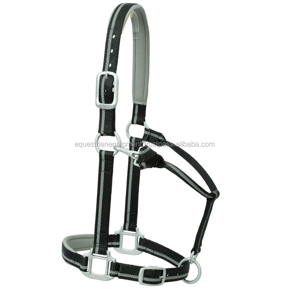 Equestrian Reflective Padded Nylon Halter Buy Equine Horse