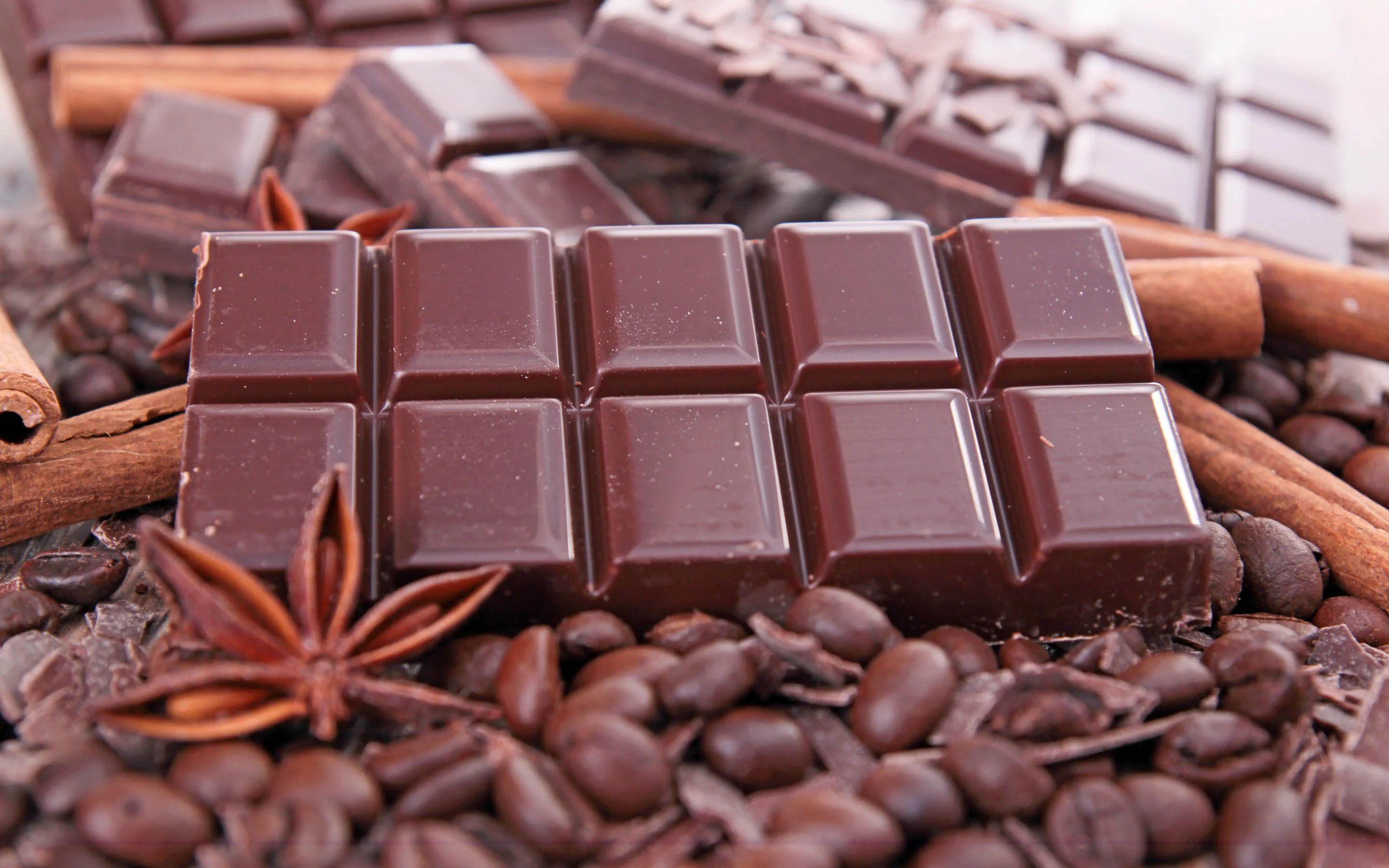 chocolate suppliers