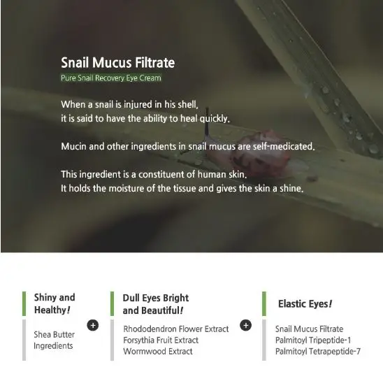 pure snail recovery eye cream