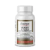 Belnys - Memory & Focus - Assist Healthy Brain Function - High Potency Supplement