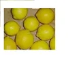 Fresh Yellow Adalia Lemons from South Africa in Best Quality and Price.....