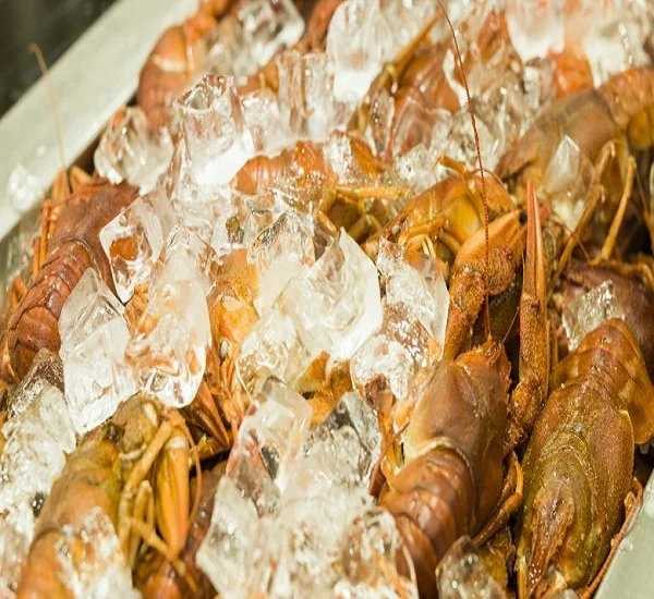 Frozen-lobsters 111.jpg