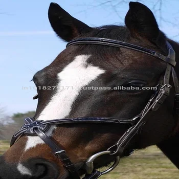 Micklem Decorative Horse Jumping Bridle Buy Micklem Decorative