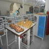 COW SPLIT CRUST LEATHER SUPPLIER FROM BANGLADESH