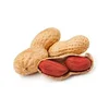 /product-detail/red-skin-peanuts-blanched-peanut-kernels-roasted-and-salted-redskin-peanuts-for-sell-62008815728.html