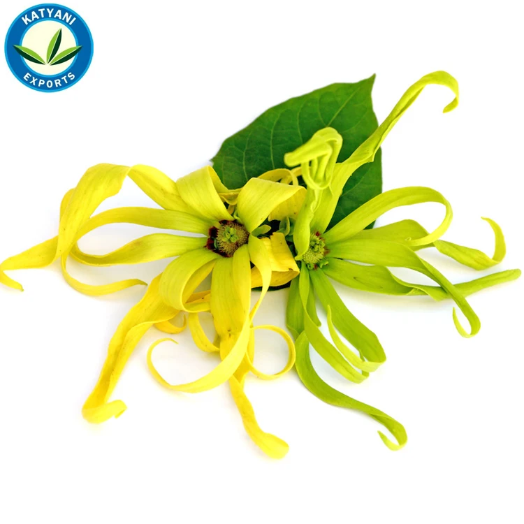Ylang Ylang.jpg