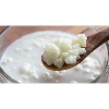 Top Quality Health Miracle Kefir from Turkey