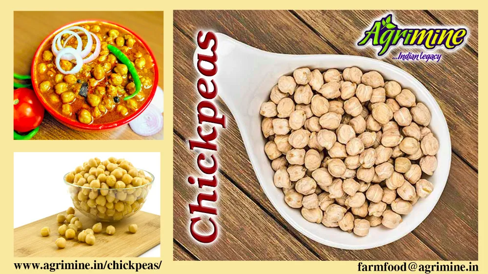 Garbanzo Bean High Quality Natural Organic And Pure Kabuli Chick Peas Supplier And Exporter From